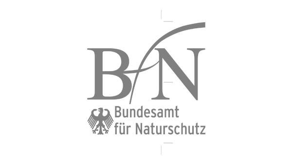 bfn-logo-grey