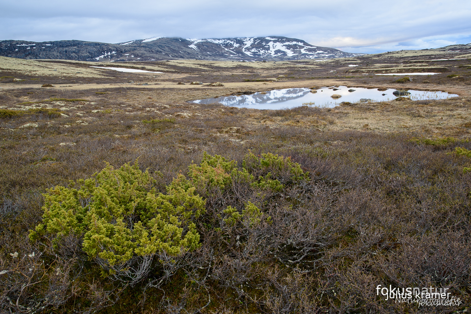 Frühling in Norwegen