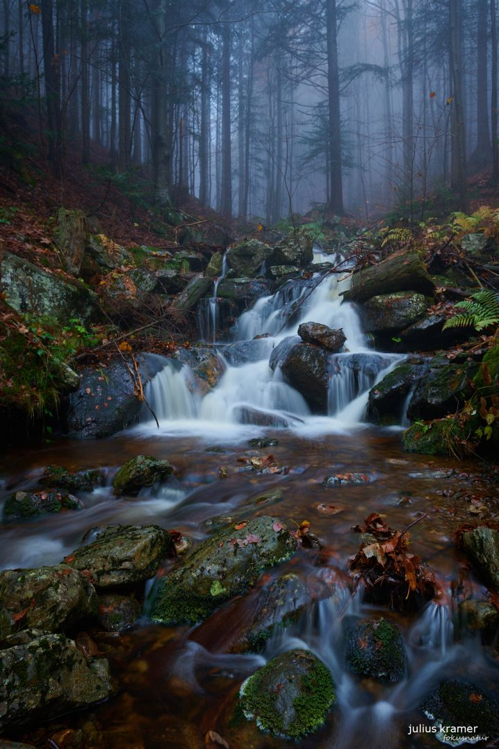 Nebel im Bayerischen Wald