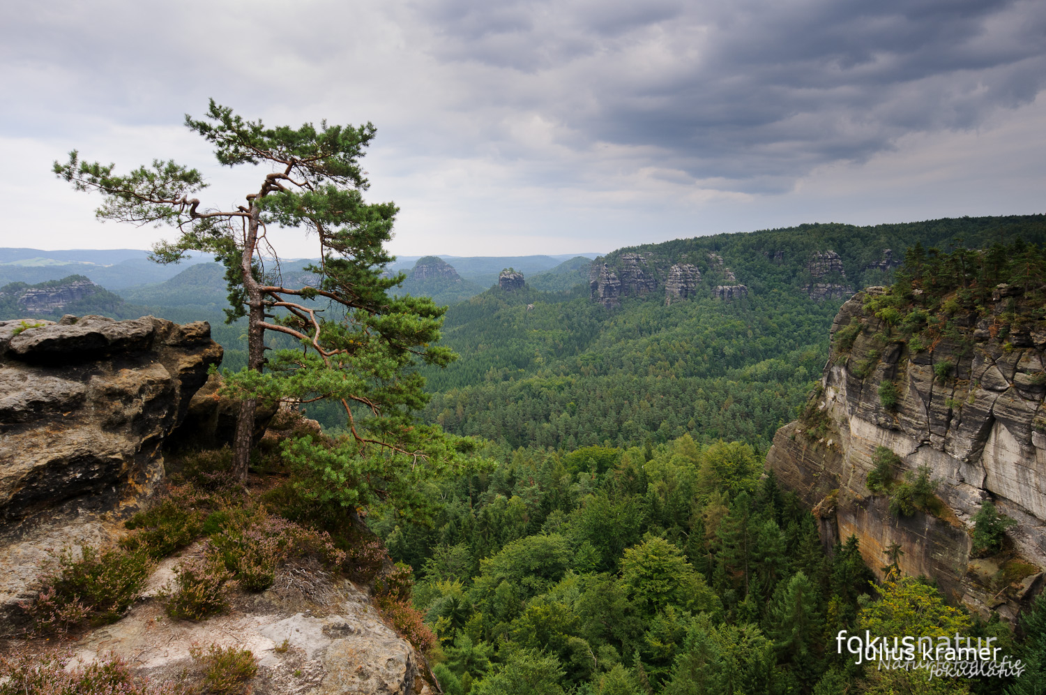 Blick auf den Großen Zschand