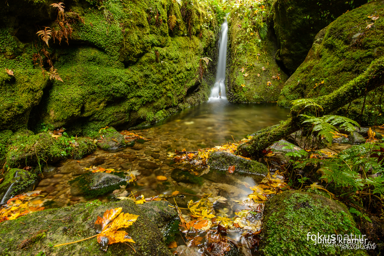 Herbst im Elbsandsteingebirge