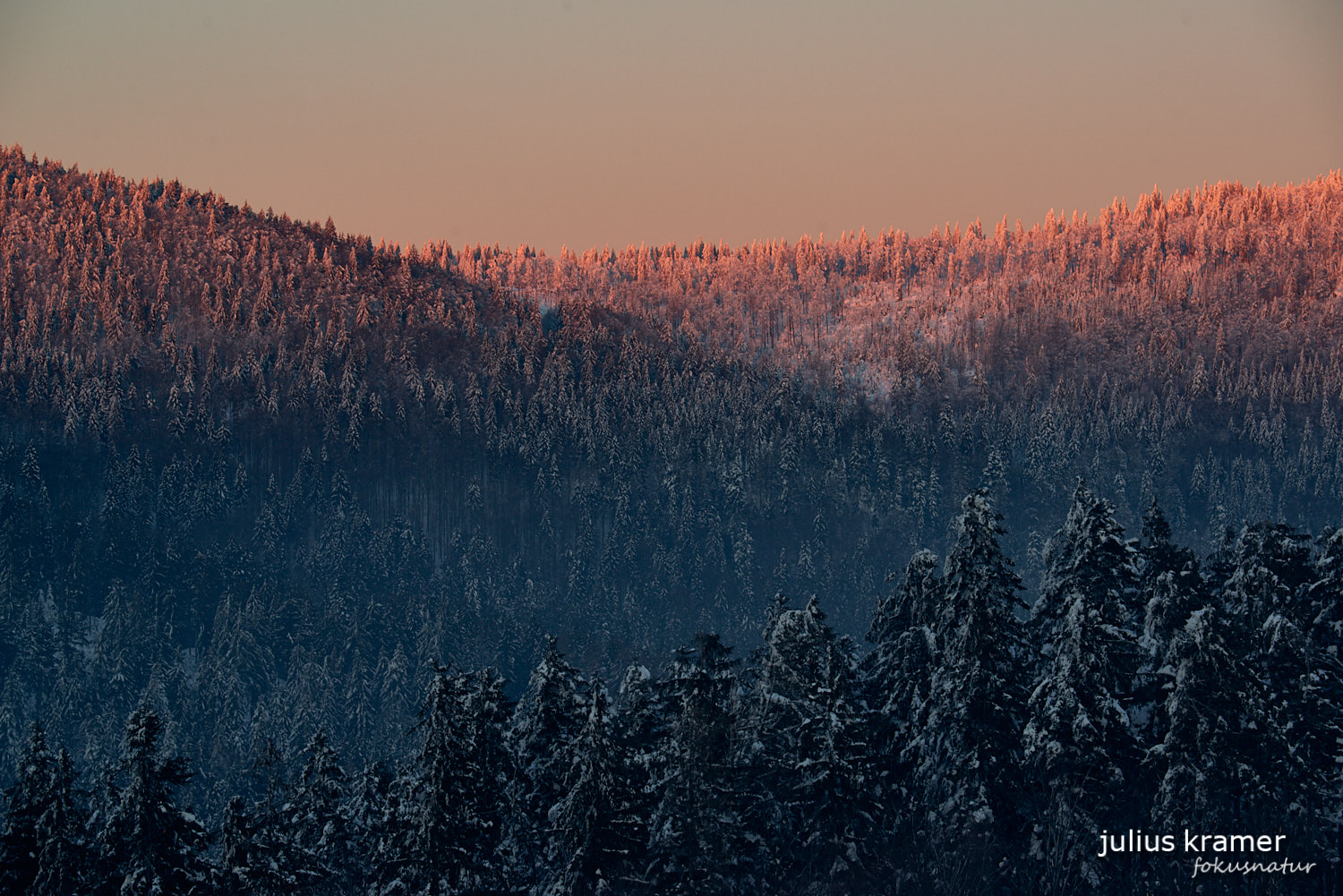 Winter im Bayerischen Wald