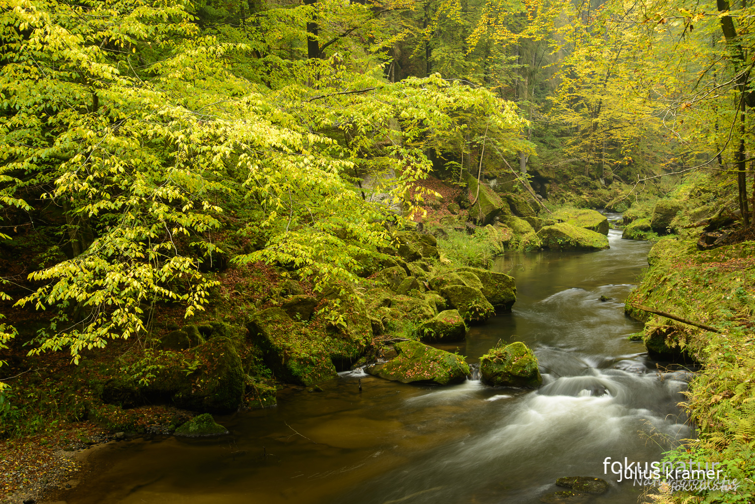 Herbst im Elbsandsteingebirge