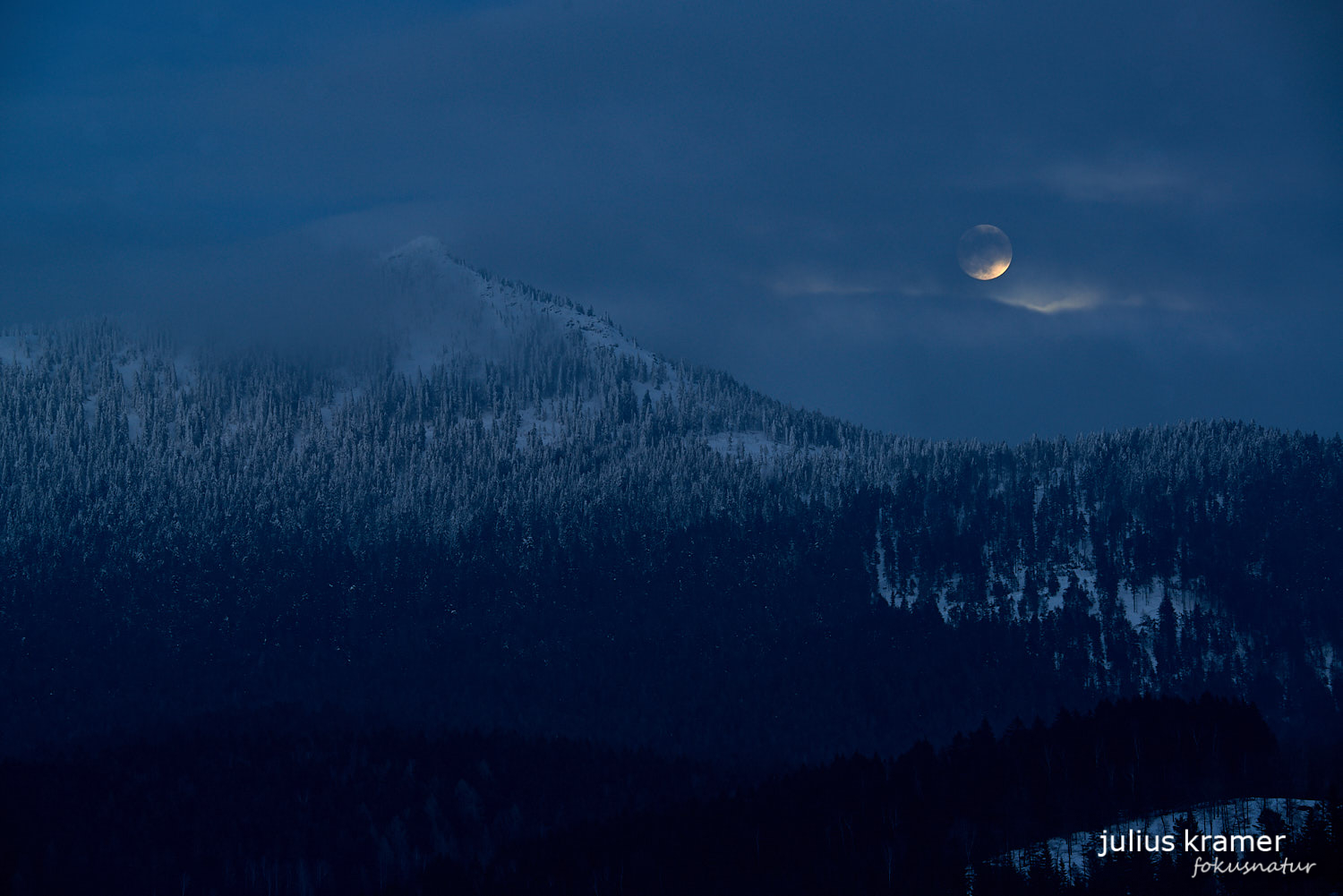 Winter im Bayerischen Wald