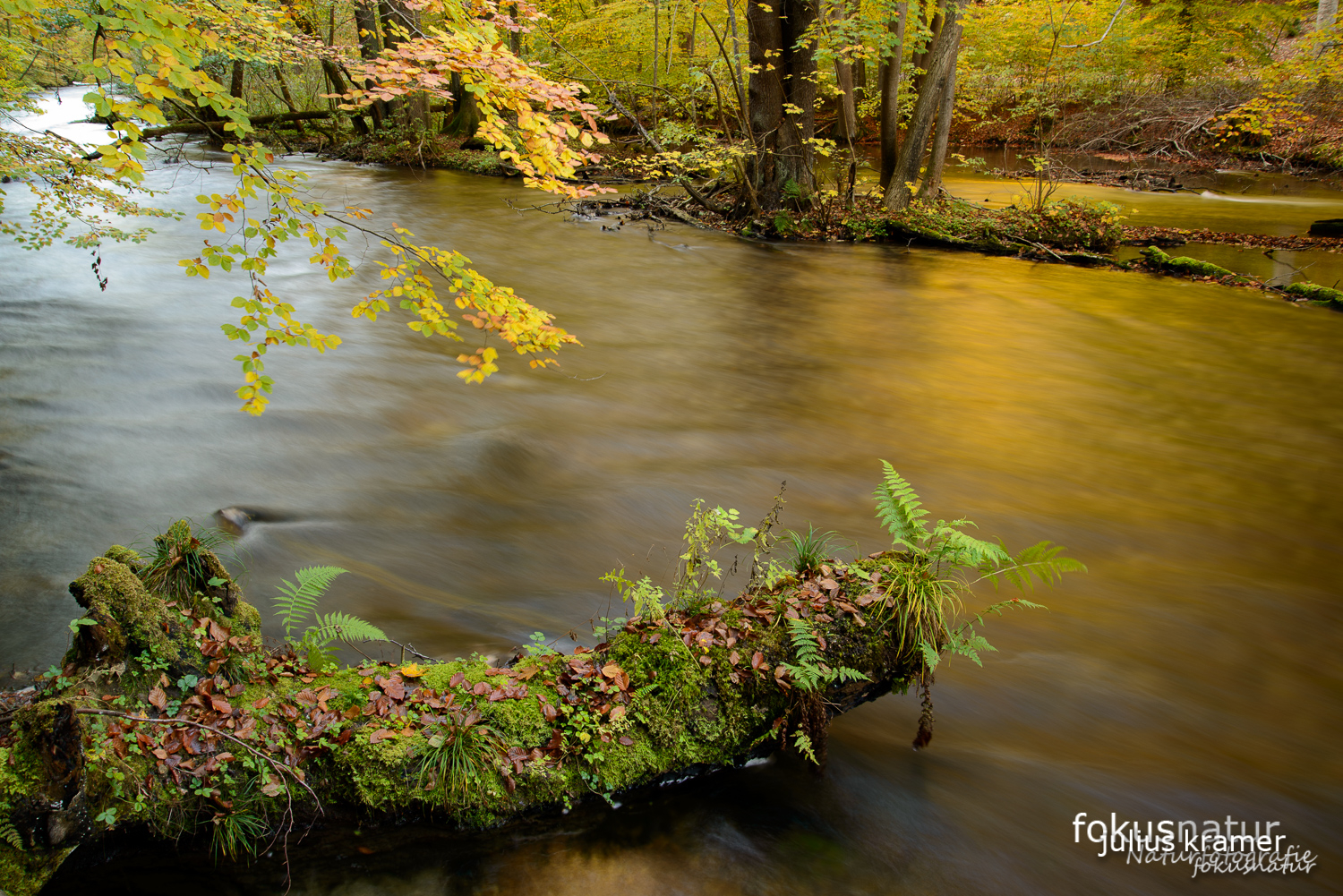 Herbst im Würmtal