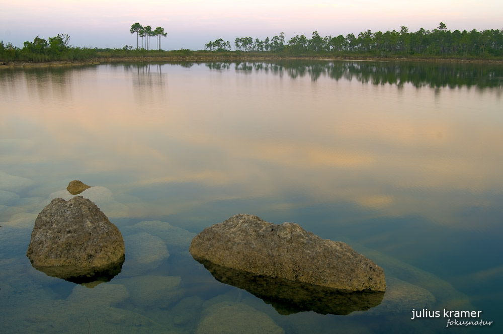 Sonnenaufgang in den Everglades