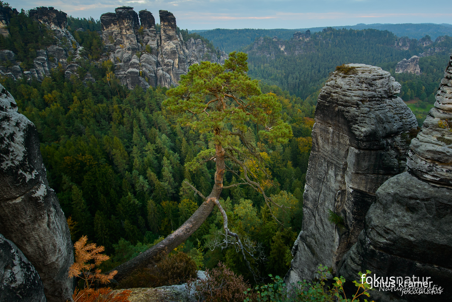 Herbst im Elbsandsteingebirge