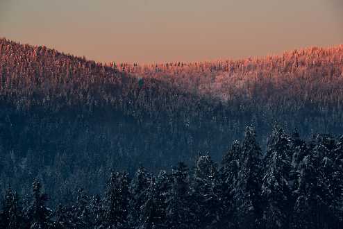 Winter im Bayerischen Wald