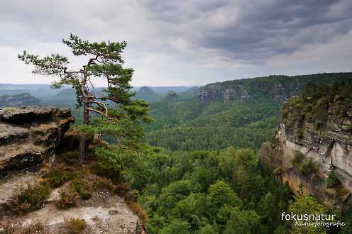 Blick auf den Großen Zschand