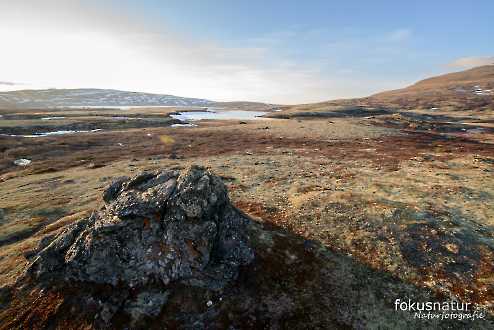 Frühling in Norwegen