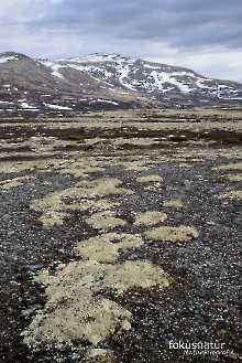 Frühling in Norwegen