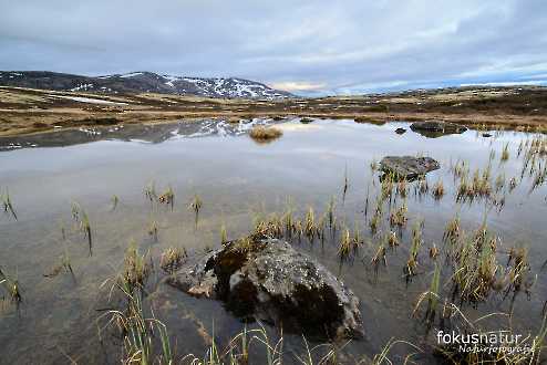 Frühling in Norwegen