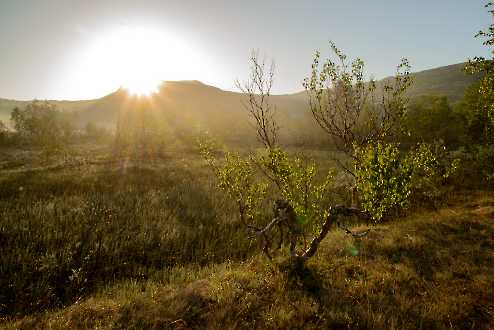 Norwegisches Hochmoor