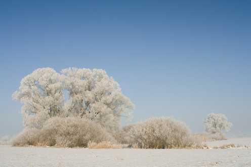 Winterlandschaft