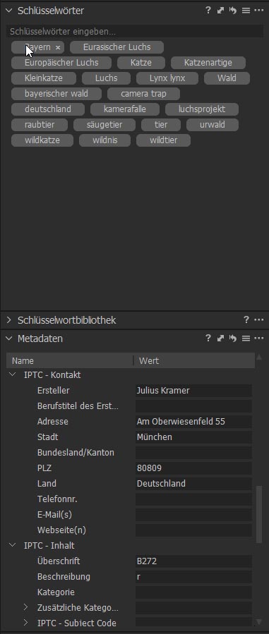 Metadatentools bei CaptureOne