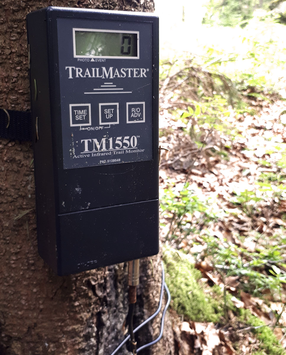 Trailmaster Receiver