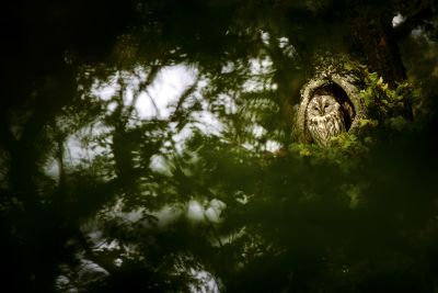 5 spannende Naturfotografie-Spots in München – Tierische Highlights und Blütenzauber