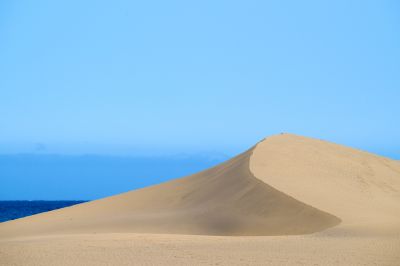 Abenteuer auf Gran Canaria: Eine Reise als Tierfotograf mit der Familie