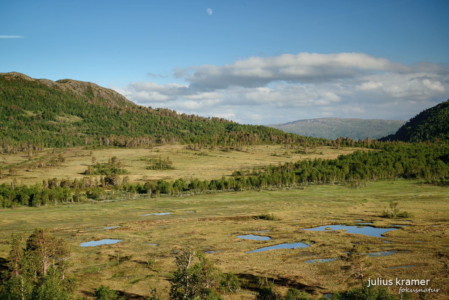 Norwegisches Hochmoor