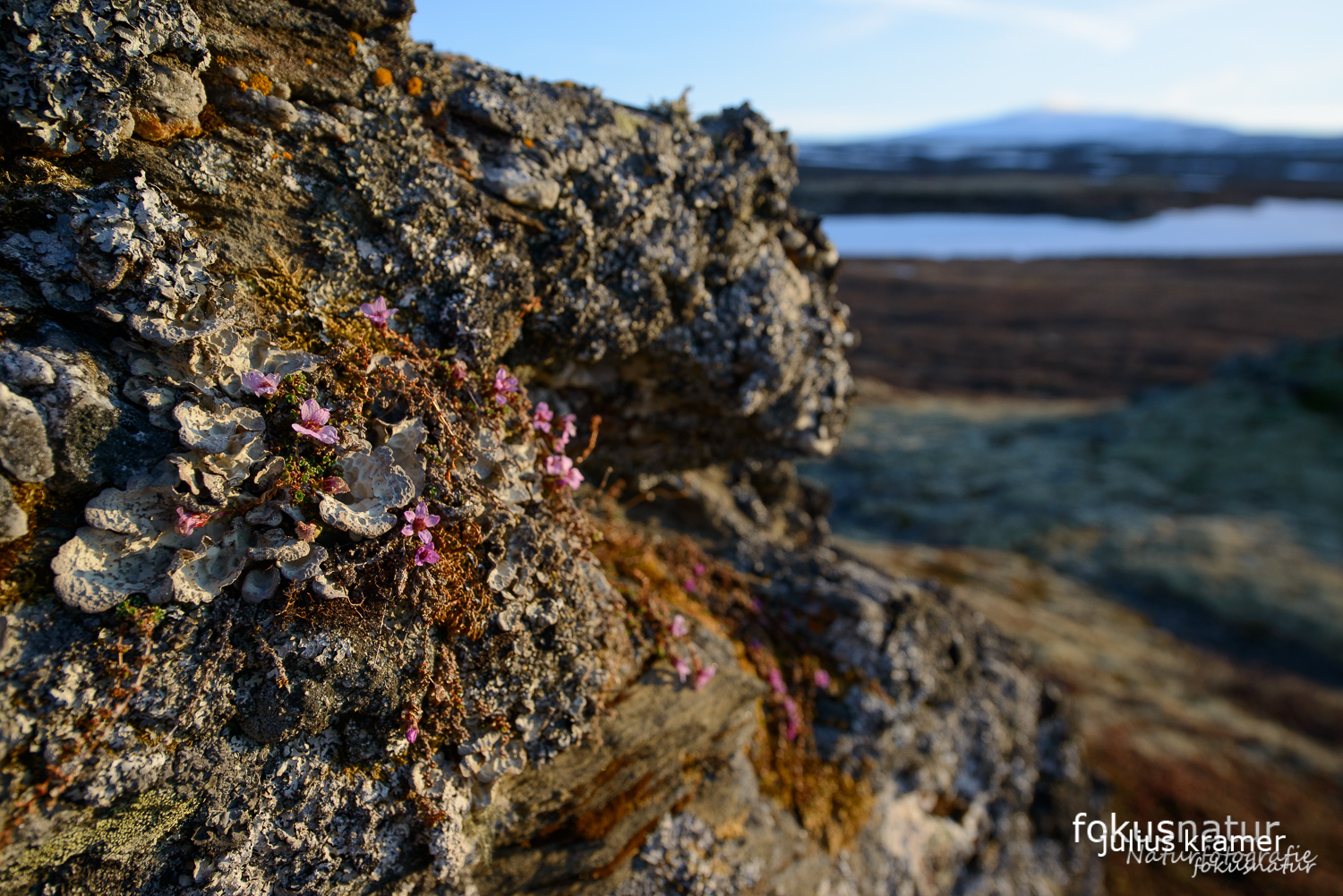 Frühling in Norwegen