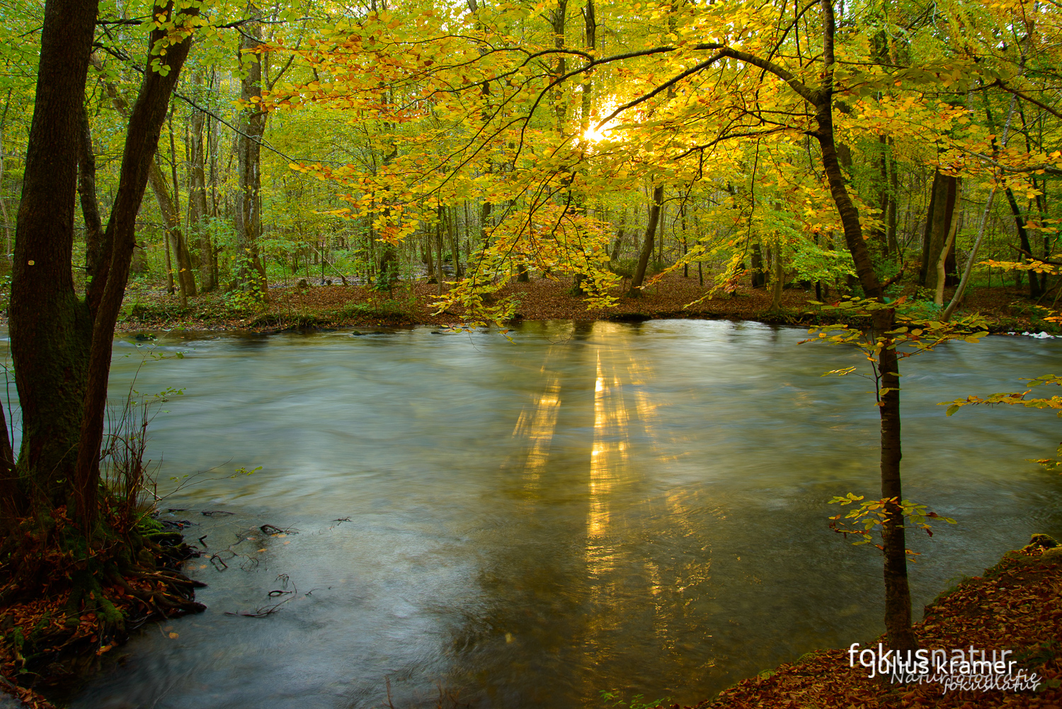 Herbst im Würmtal