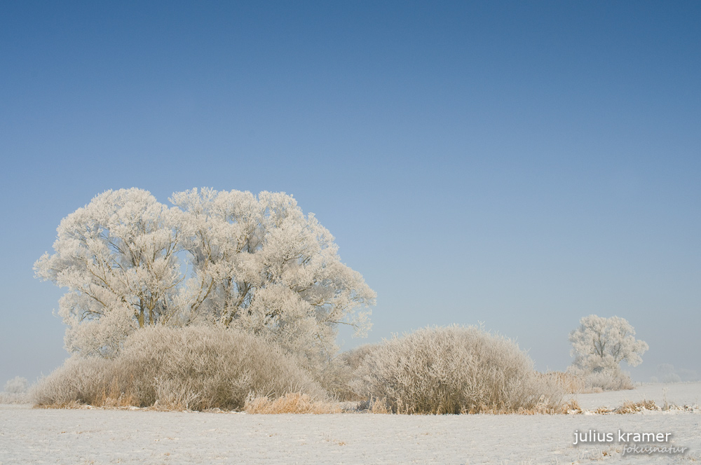 Winterlandschaft