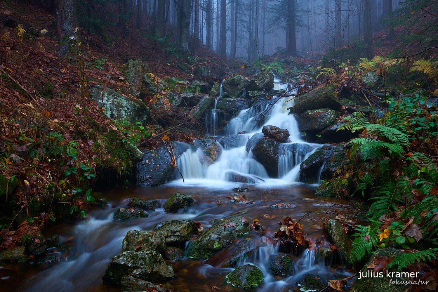 Nebel im Bayerischen Wald