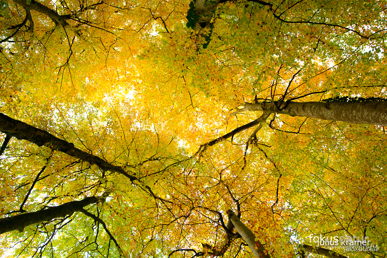 Herbst im Würmtal